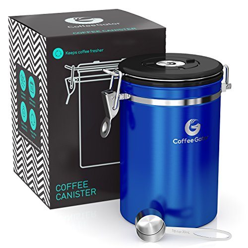 Coffee Gator Stainless Steel Container - Canister with co2 Valve, Scoop and eBook - Large, Blue ...