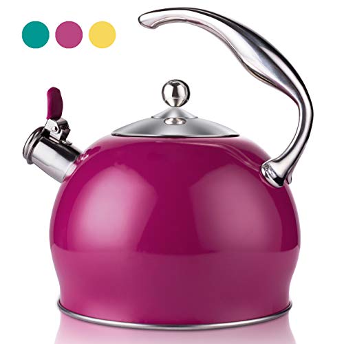 Tea Kettle Best 3 Quart induction Modern Stainless Steel Surgical ...