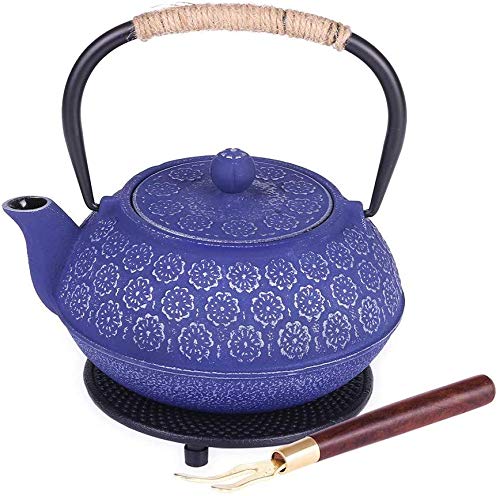 Blue Floral Cast Iron Teapot Kettle with Stainless Steel Infuser 34oz 