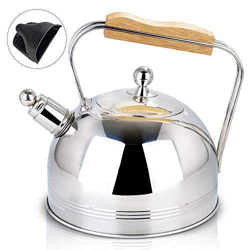 Stovetop Safe Ca Toptier Japanese Cast Iron Tea Kettle With Infuser Details about   Tea Kettle 